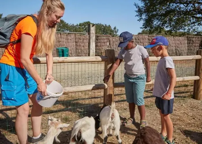 Coeur De Vendée Mobil Camping